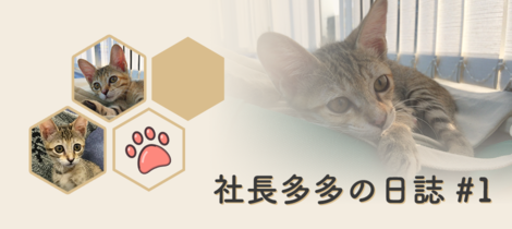 【社長日誌 #1】今天的我沒有極限 (的睡覺)！