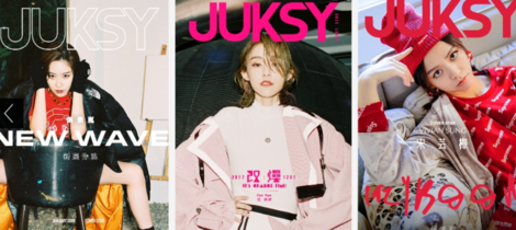我心目中的JUKSY：「一群草食性的獅子」